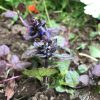 記事:昨日はお花を頂いた日だったなぁ\(^o^)/のサムネイル画像