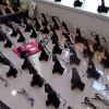記事:eyewearshop HOKUTOのディスプレーのサムネイル画像