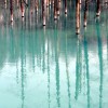記事:美瑛白金温泉のサムネイル画像