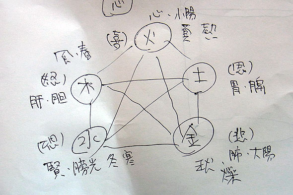 感情と臓器の関係