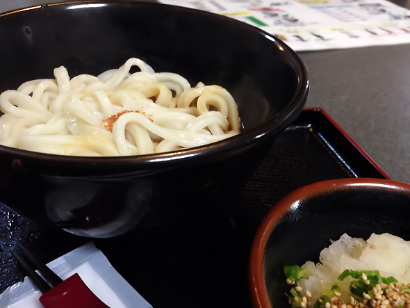 道後のうどん