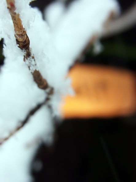 森の時計入口と枝の雪