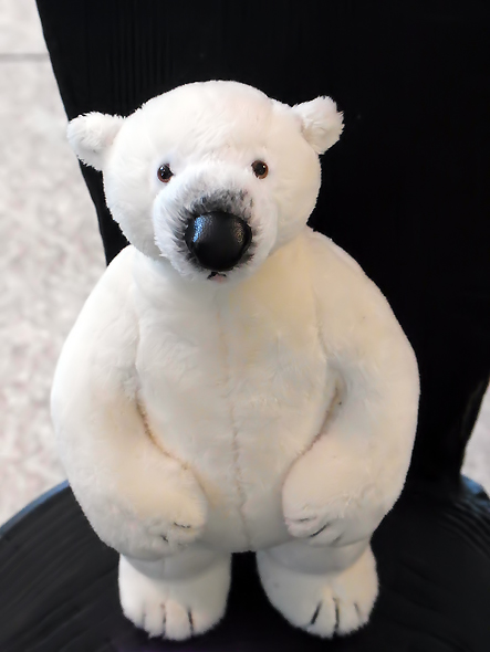 kayanao shirokuma