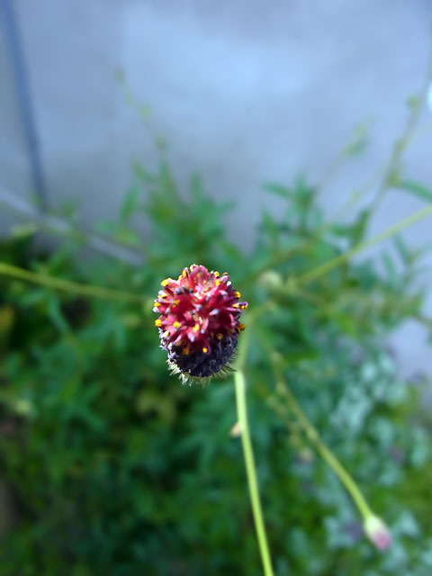 RIMG0297