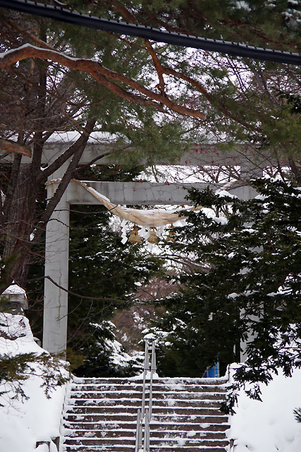 IMGP0207