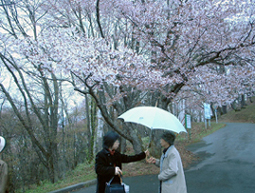 DSCF0132