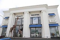 coco-shinwa