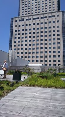 yabushita