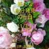 記事:来年に向けて輝くあなたを応援したい♪のサムネイル画像