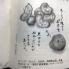 記事:みっちゃんのイラストがサンデー毎日に掲載!のサムネイル画像