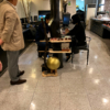 記事:怒涛の二日間が終わり日常に戻りました!のサムネイル画像