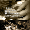 記事:第12回篆刻教室のサムネイル画像