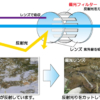 記事:グラフ旭川3月号原稿「偏光レンズ」のサムネイル画像