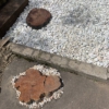 記事:雨降り〜のサムネイル画像