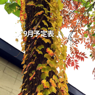 9月シフト表