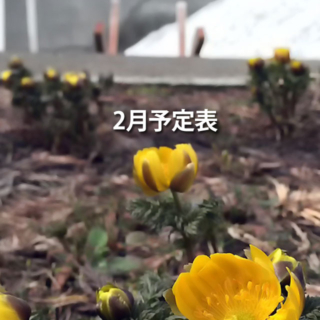 2026年2月シフト表