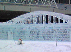 20070206_231693.jpg